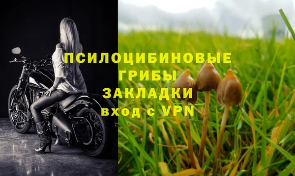 крисы Балахна
